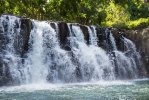 Mauritius: Upptäcktsresa med dolda vattenfall med upphämtning
