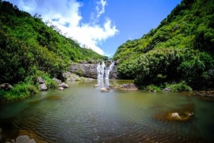 Mauritius: Upptäcktsresa med dolda vattenfall med upphämtning