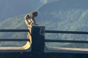 Mauritius: Kohokohdat kiertomatka maisteluineen & auringonlasku Etelä-Mauritiuksella