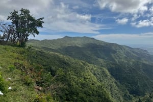 Mauritius: Kohokohdat kiertomatka maisteluineen & auringonlasku Etelä-Mauritiuksella
