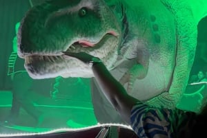 Mauritius: Kohokohdat kiertomatka maisteluineen & auringonlasku Etelä-Mauritiuksella