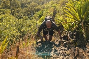 Mauritius: Vandre og bestig Trois Mamelles-bjerget