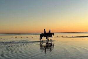 Mauritius: passeggiata a cavallo sulla spiaggia