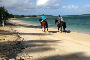 Maurice : Balade à cheval sur la plage déserte de Riambel