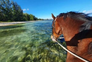 Maurice : Balade à cheval sur la plage déserte de Riambel
