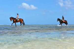 Maurice : Balade à cheval sur la plage déserte de Riambel