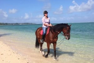 Maurice : Balade à cheval sur la plage déserte de Riambel