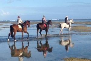 Maurice : Balade à cheval sur la plage déserte de Riambel