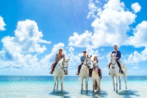 Mauritius: passeggiata a cavallo e tour di una piantagione di vaniglia