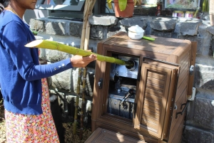 Mauritius: passeggiata a cavallo e tour di una piantagione di vaniglia