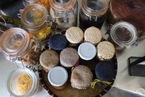 Mauritius: passeggiata a cavallo e tour di una piantagione di vaniglia