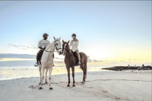 Mauritius: passeggiata a cavallo sulla spiaggia
