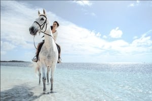Mauritius: passeggiata a cavallo sulla spiaggia