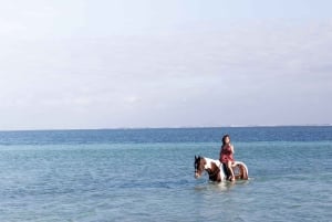 Mauritius: passeggiata a cavallo sulla spiaggia