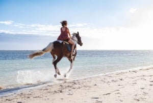 Mauritius: passeggiata a cavallo sulla spiaggia