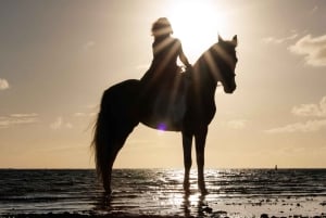 Mauritius: passeggiata a cavallo sulla spiaggia