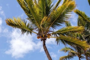 Mauritius: passeggiata a cavallo sulla spiaggia