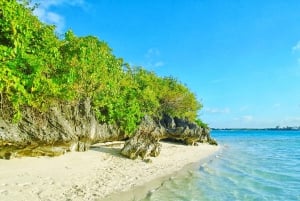 Mauritius: Ile aux Aigrettes Nature Reserve with Boat Ride