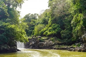 Mauritius: Tour in barca dell'Ile aux Cerfs con pranzo barbecue e bevande