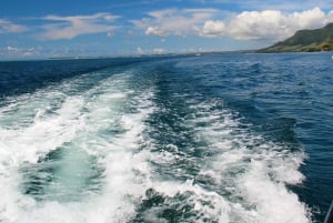 Ile aux Cerfs: Il giorno più bello in catamarano.