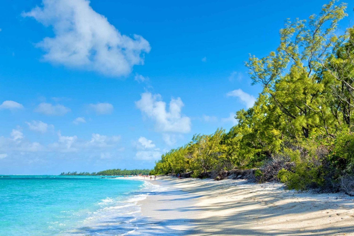 Mauritius: Ile Aux Cerfs Catamaran Trip w/ Lunch & Transfer