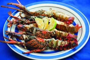 Mauritius: Ile Aux Cerfs catamarantrip met lunch en vervoer