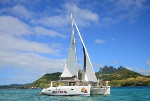 Mauritius: catamarano a Ile aux Cerfs con pranzo, cascata e sega