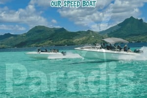 Mauritius: Île aux Cerfs Island Speed Boat Tour with Lunch