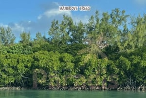 Mauritius: Île aux Cerfs Island Speed Boat Tour with Lunch