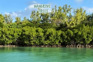 Maurícias: passeio privado de lancha com churrasco na Ile Aux Cerfs