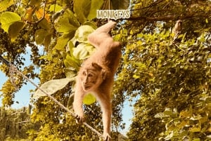 Maurícias: passeio privado de lancha com churrasco na Ile Aux Cerfs