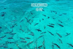 Maurícias: passeio privado de lancha com churrasco na Ile Aux Cerfs