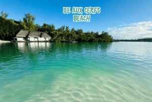Mauritius: tour in motoscafo dell'Ile aux Cerfs con pranzo e bevande