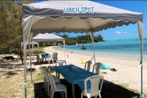Mauritius: tour in motoscafo dell'Ile aux Cerfs con pranzo e bevande