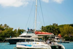 Mauricio: crucero en catamarán privado y almuerzo en Île aux Phare