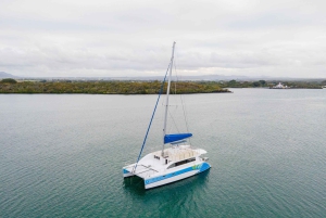 Mauricio: crucero en catamarán privado y almuerzo en Île aux Phare