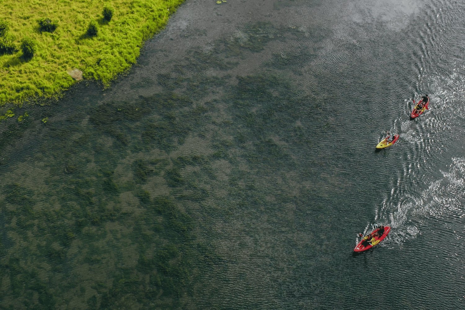 Mauritius: Kayaking, Wild Dolphins, Benitiers Island, River