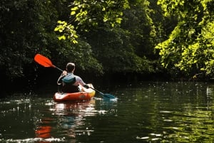 Каякинг: река Тамарин, с дельфинами, до острова Бенитье