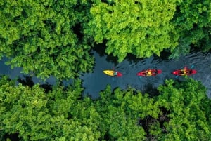 Каякинг: река Тамарин, с дельфинами, до острова Бенитье