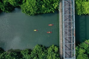 Каякинг: река Тамарин, с дельфинами, до острова Бенитье