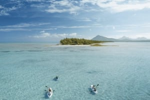 Каякинг: река Тамарин, с дельфинами, до острова Бенитье