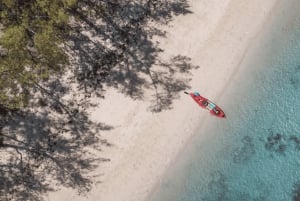 Каякинг: река Тамарин, с дельфинами, до острова Бенитье