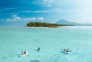 Каякинг: река Тамарин, с дельфинами, до острова Бенитье