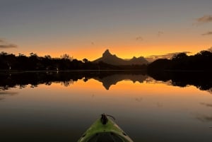 Каякинг: река Тамарин, с дельфинами, до острова Бенитье