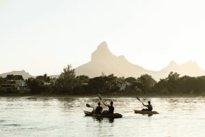 Каякинг: река Тамарин, с дельфинами, до острова Бенитье