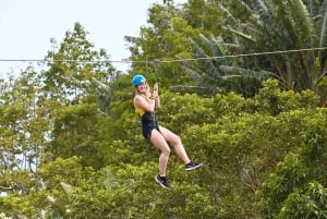Île Maurice : Découvrez le Sky Pulse, un parcours de 7 lignes au parc Vallé Advenature