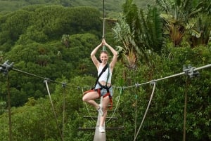 Mauritius: Vallé Advenature Park, Nepalese Bridge