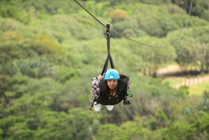 Maurícia: Zipline exclusiva de 1,5 km no Parque Vallé Advenature