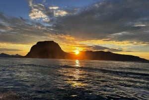 Mauritius Le Morne: Eco-Friendly Dolphin Watching Tour