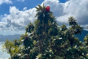 Maurice : Le Morne : Randonnée intime loin de la foule